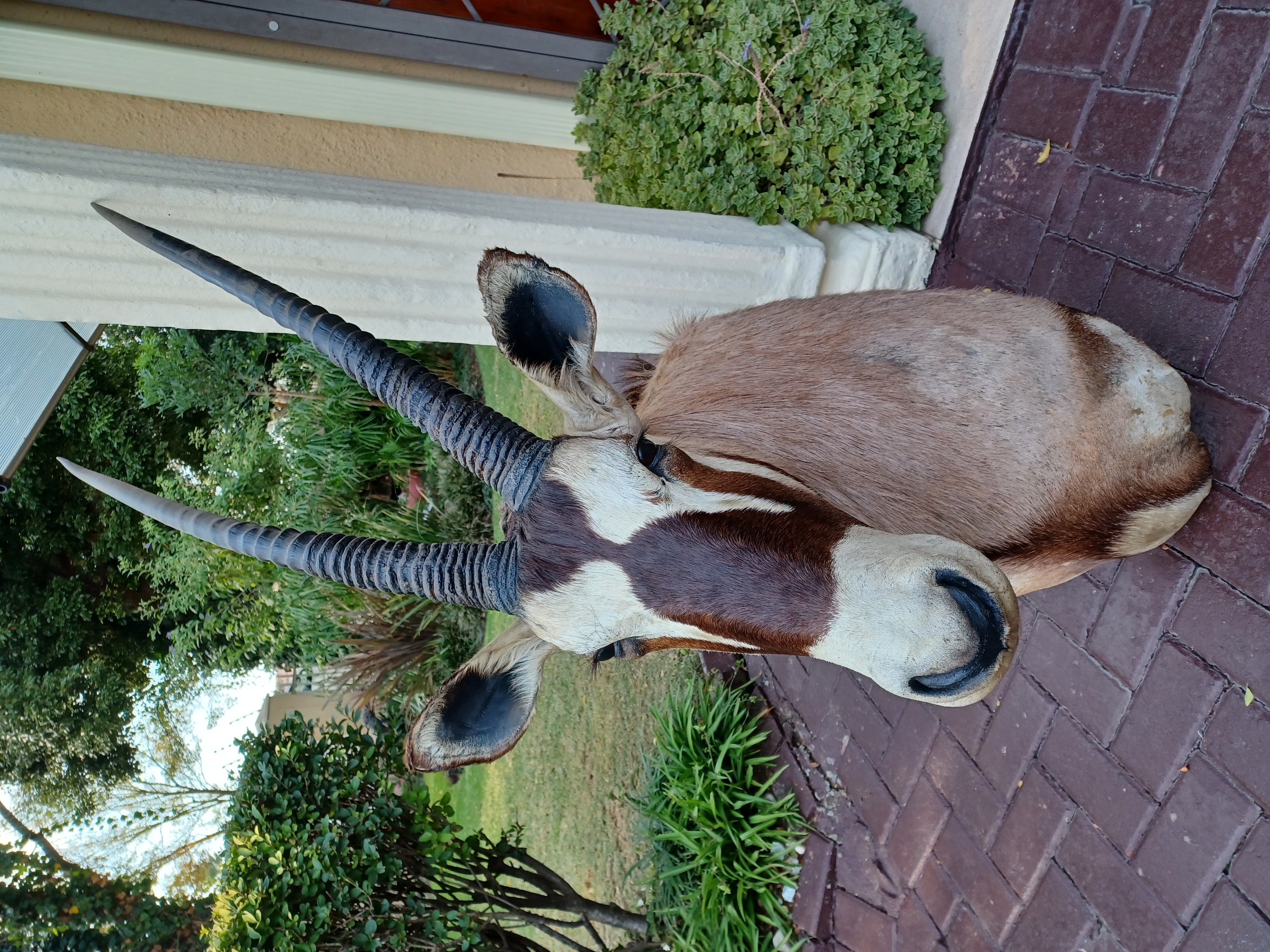 Lot 1392 25 May 23