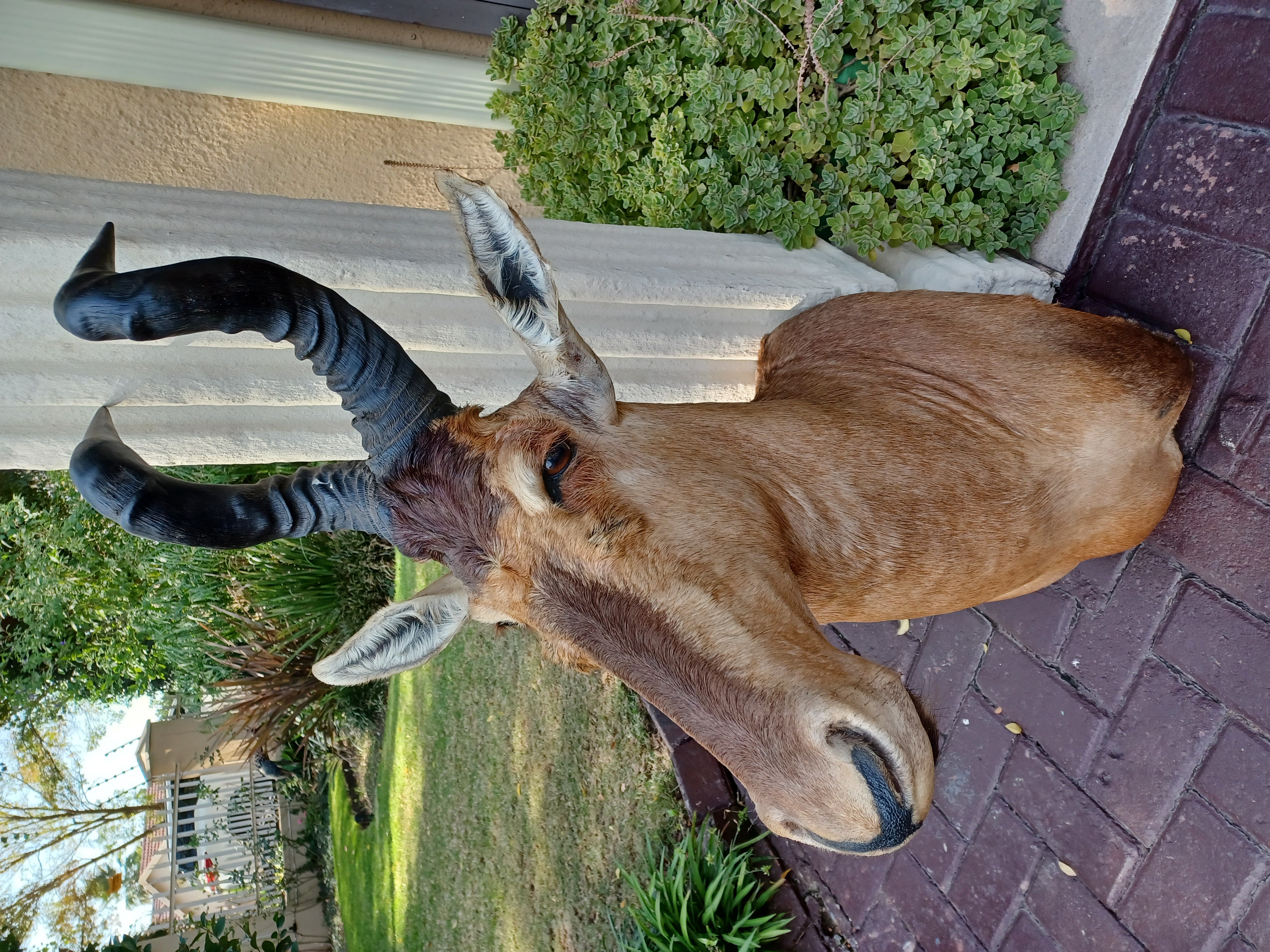 Lot 1394 25 May 23