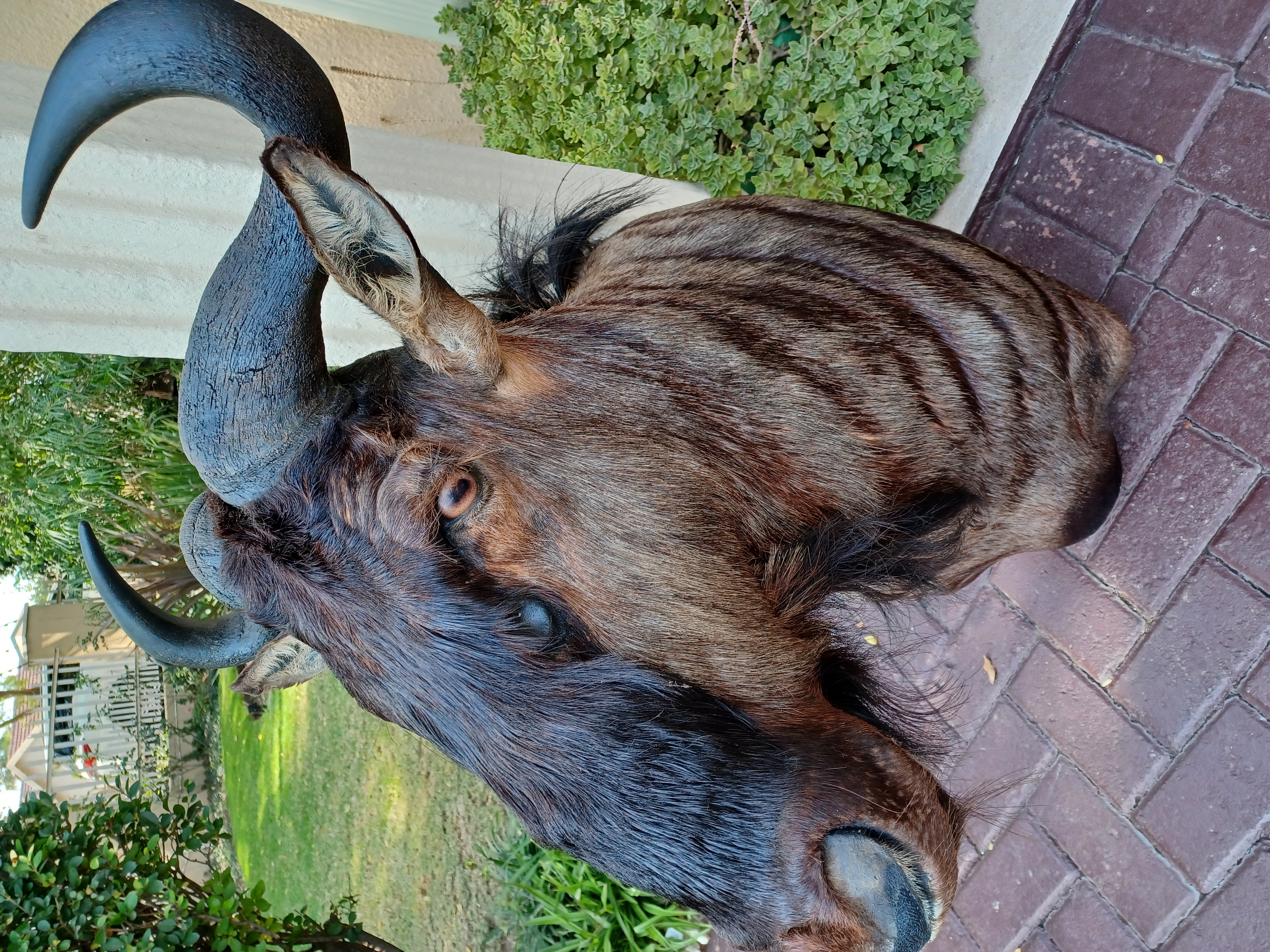 Lot 1391 25 May 23