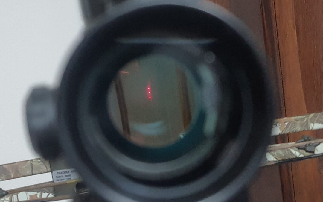 20240228_202807