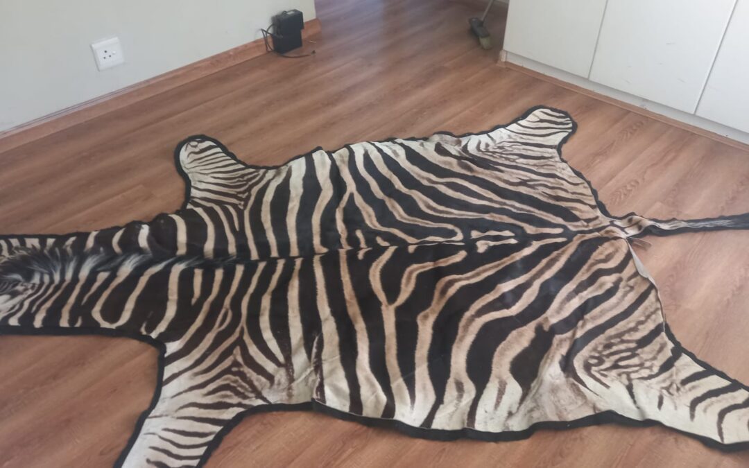 IMG-20240313-WA0040