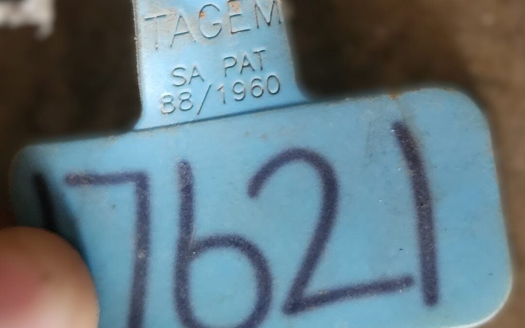20240729_112808