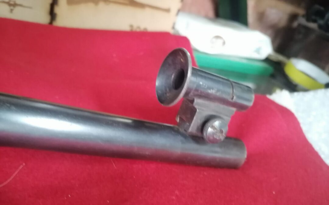 IMG-20240910-WA0174
