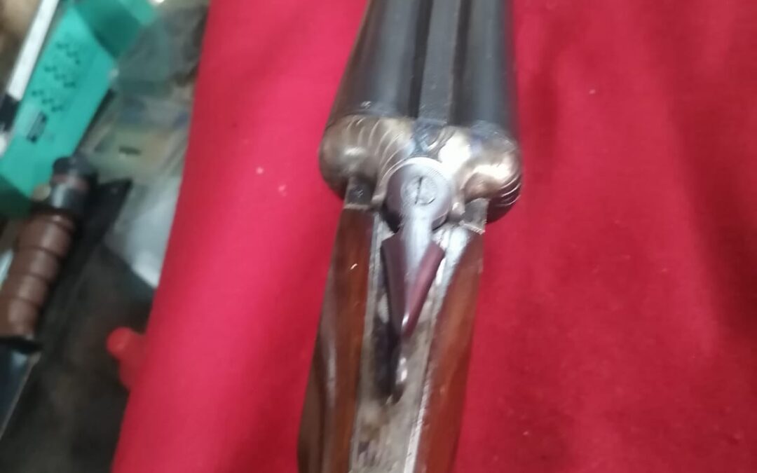 IMG-20240909-WA0069