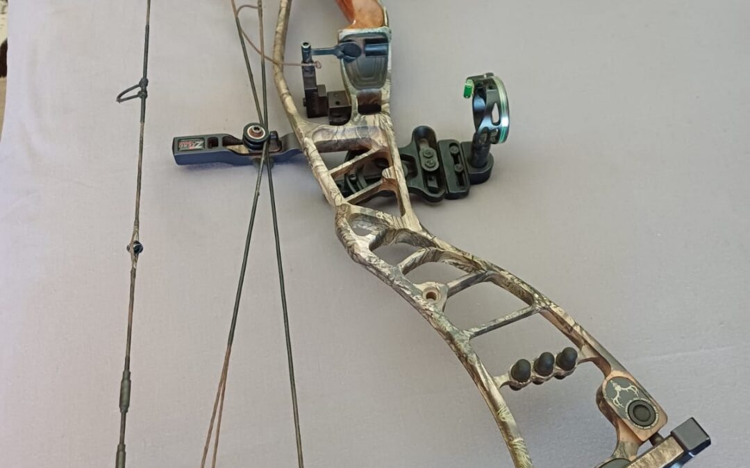 IMG-20240815-WA0290