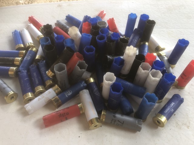 Shells1