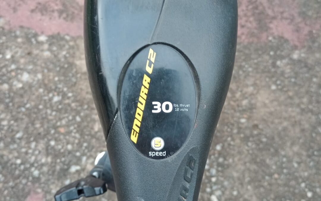 Trollingmotor 2