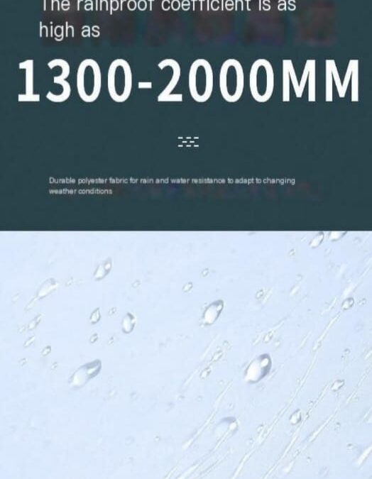IMG-20241016-WA0014