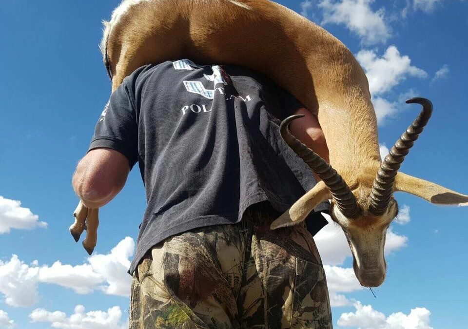 Lot 718 15 Dec 22