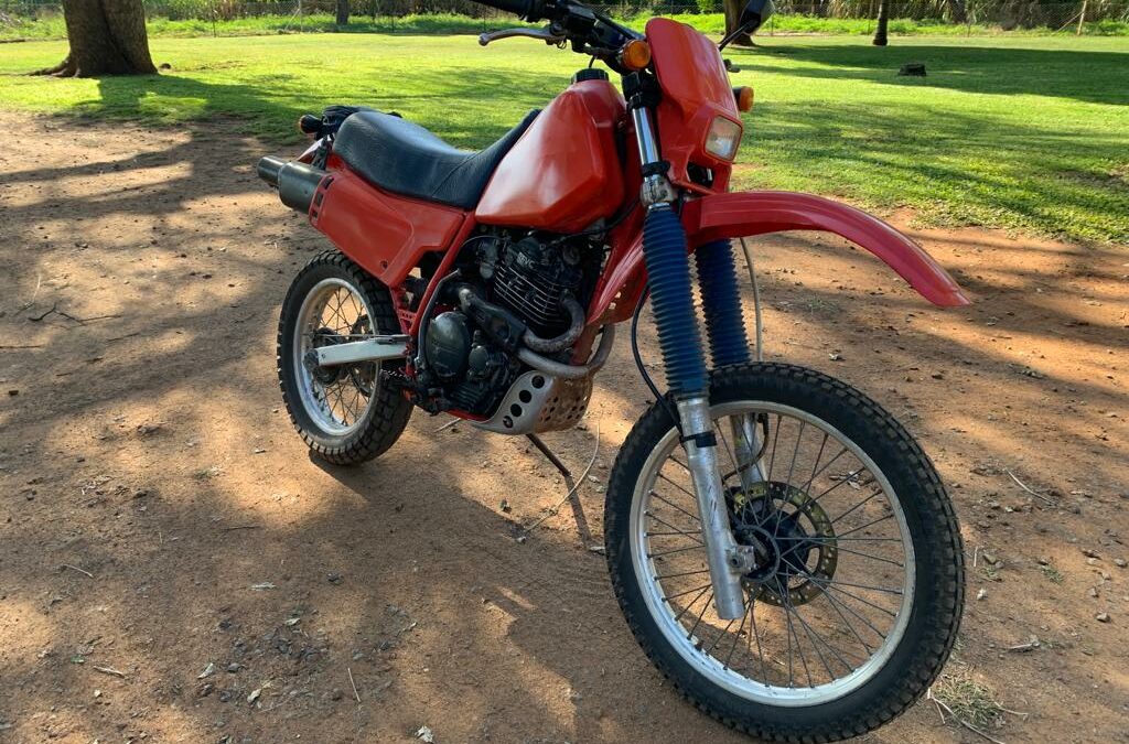 Lot 289 5 Jan 23