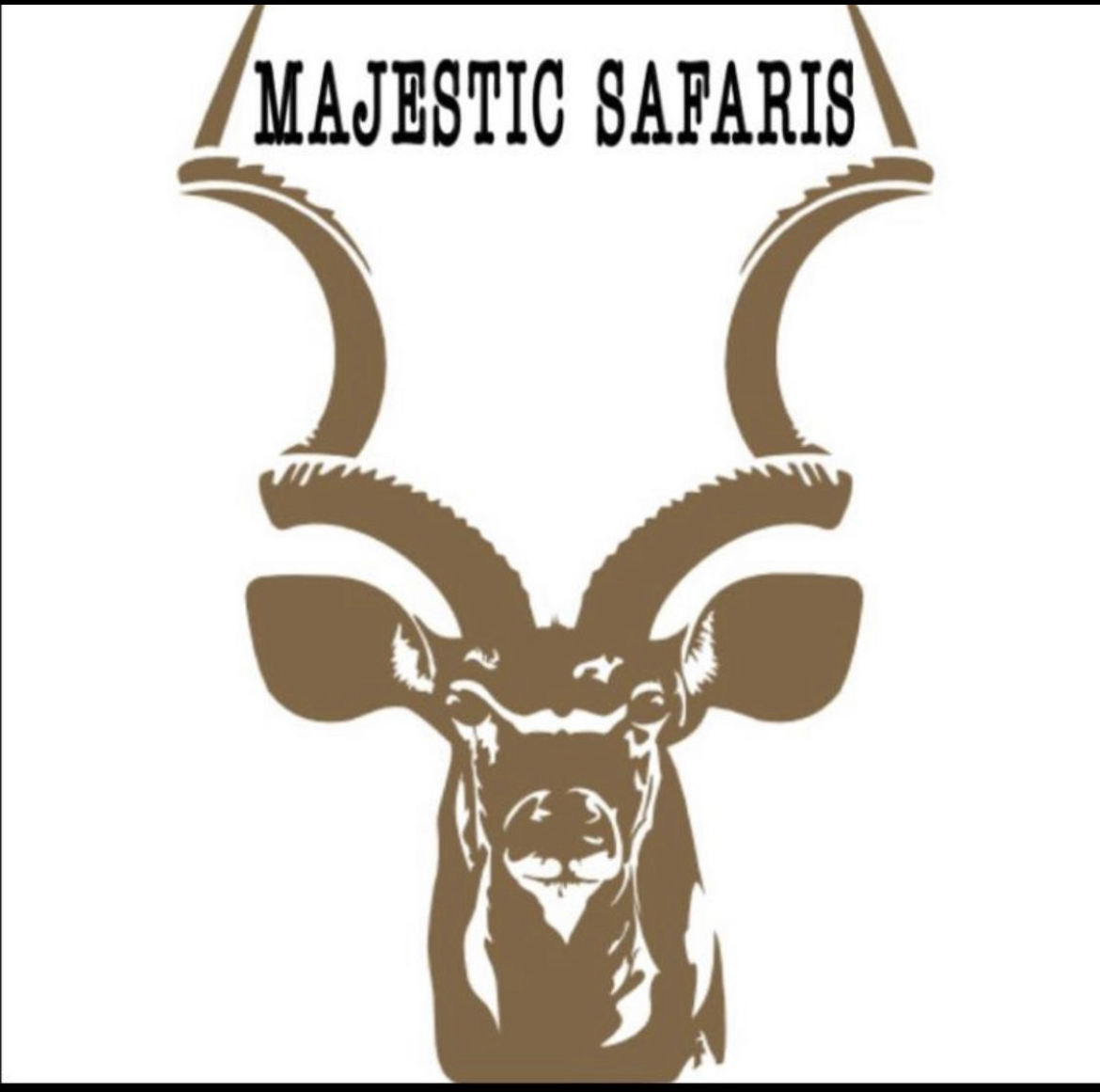 Majestic Safaris’s -huntandgun.co.za-hunt and gun