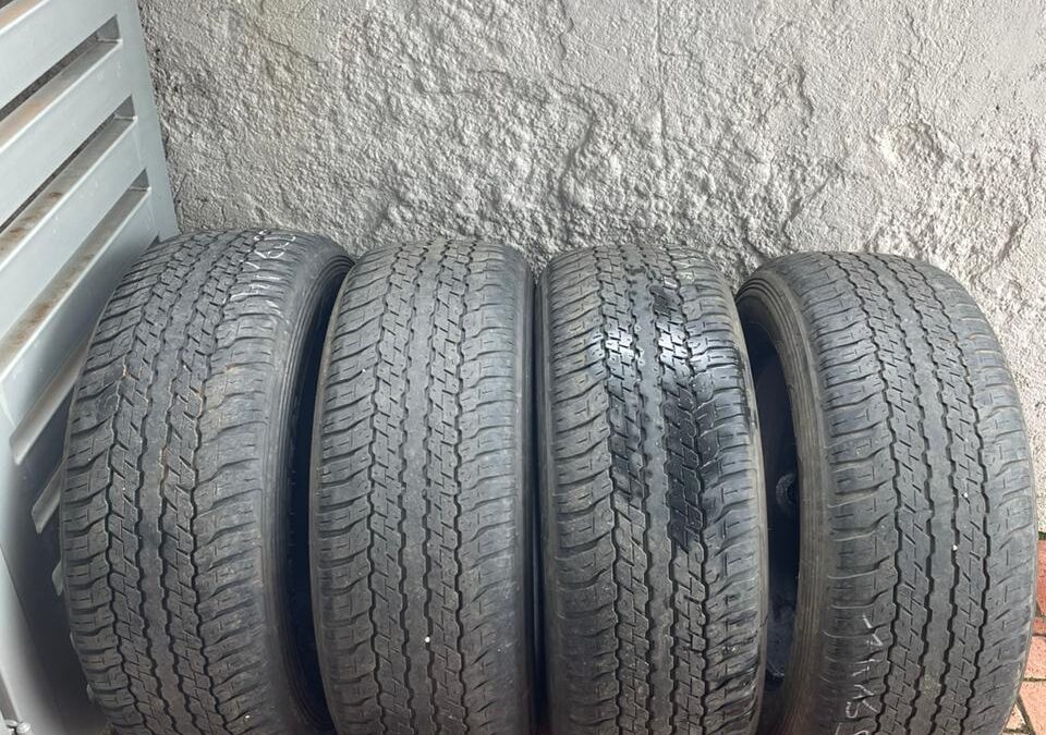 IMG-20230217-WA0018