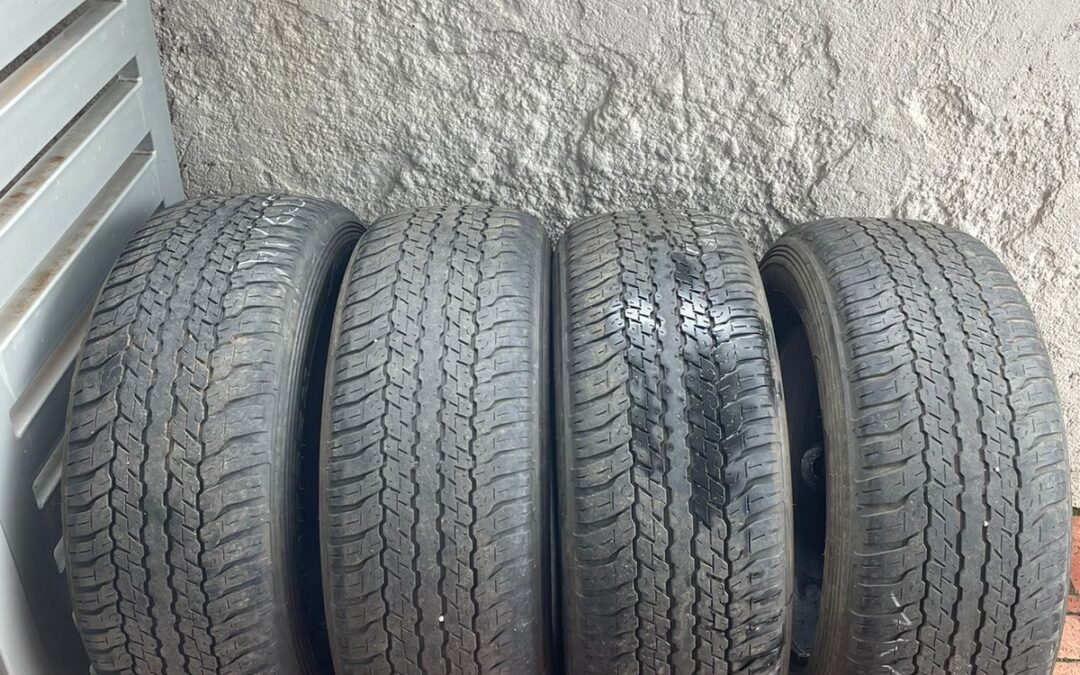 IMG-20230222-WA0070