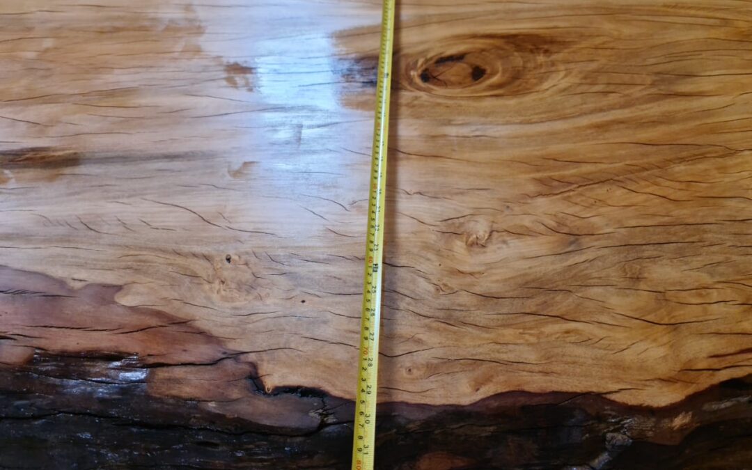 IMG-20230224-WA0019