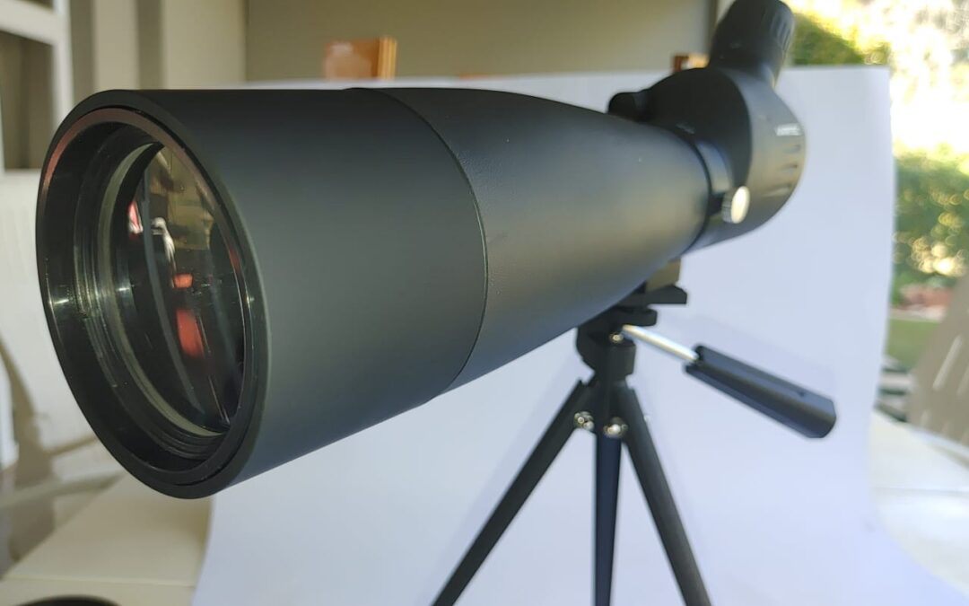 IMG-20230228-WA0020