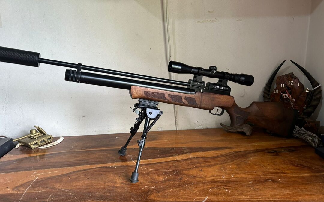 IMG-20230313-WA0042