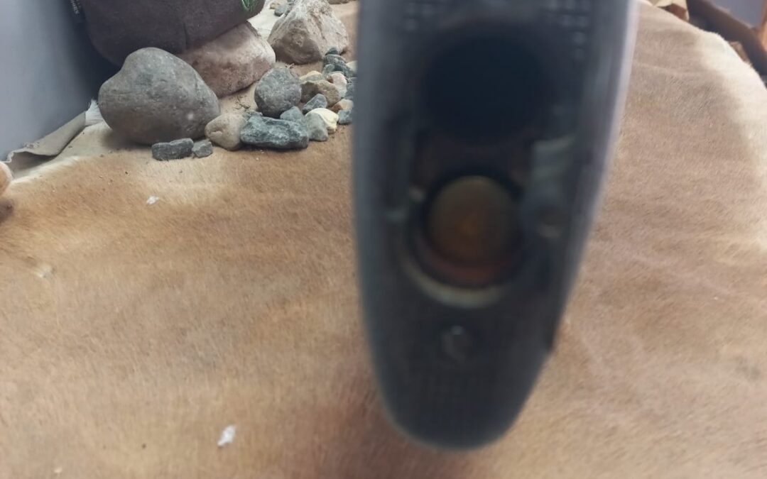 IMG-20230314-WA0049