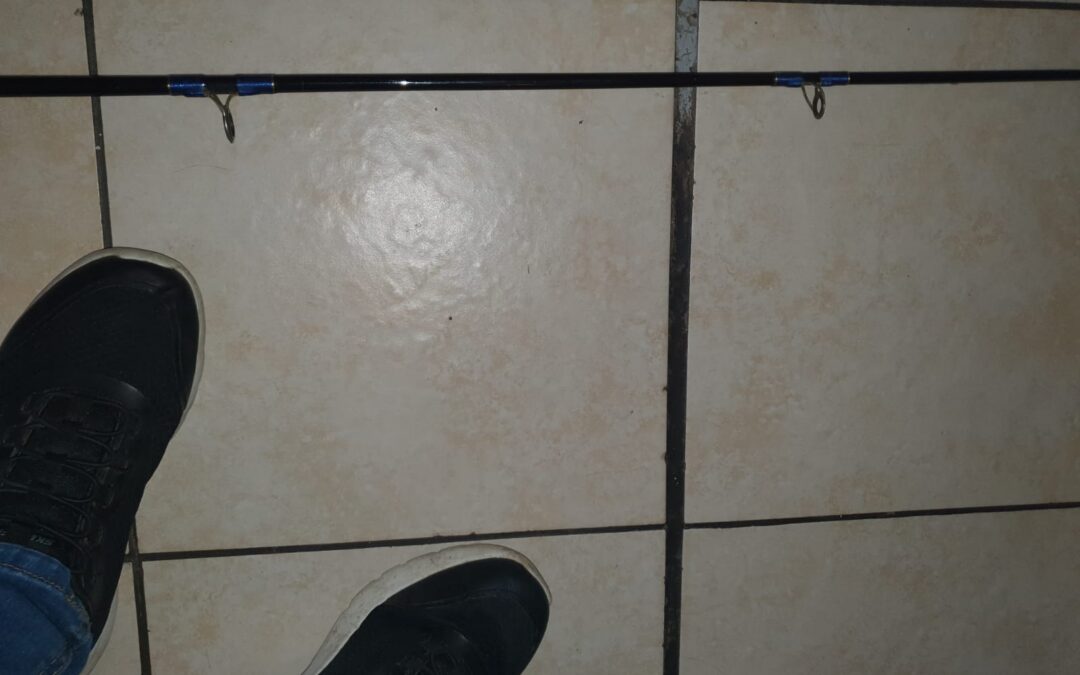 IMG-20230314-WA0169