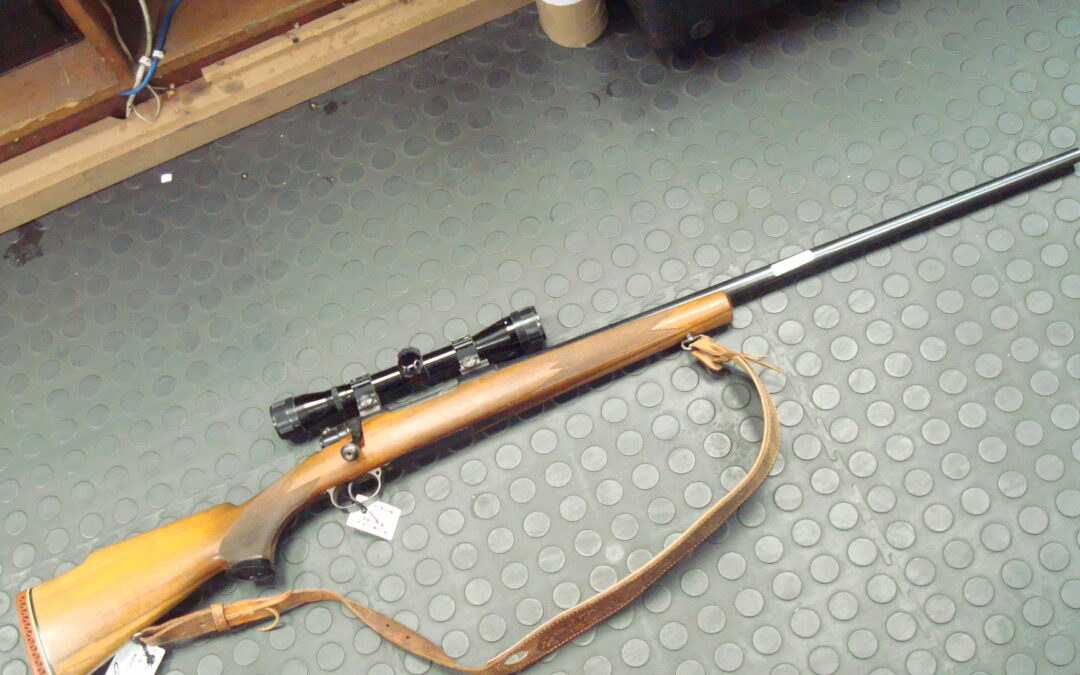 Rifel pic 1