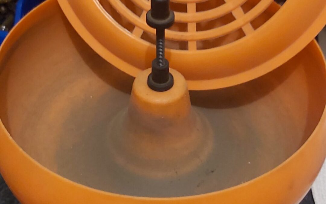 20230718_190654