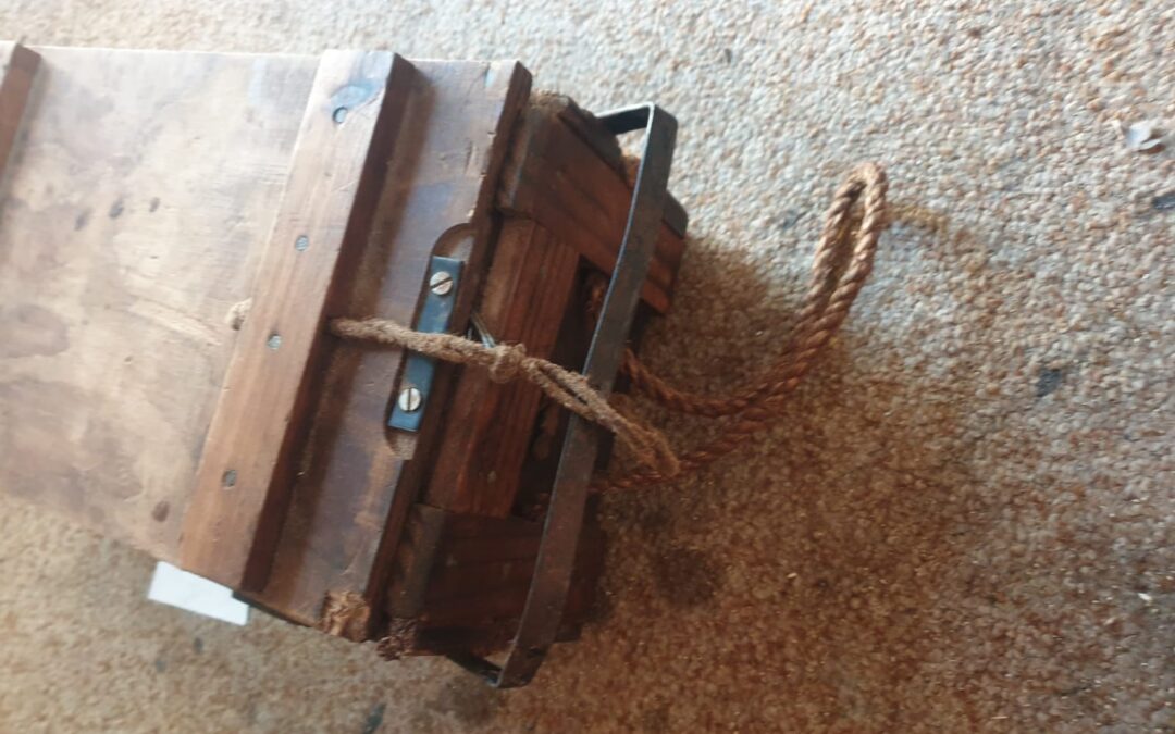 IMG-20230713-WA0126