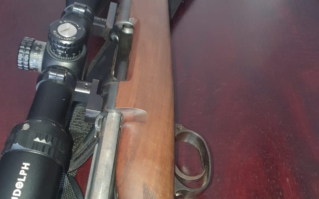 IMG-20230719-WA0029