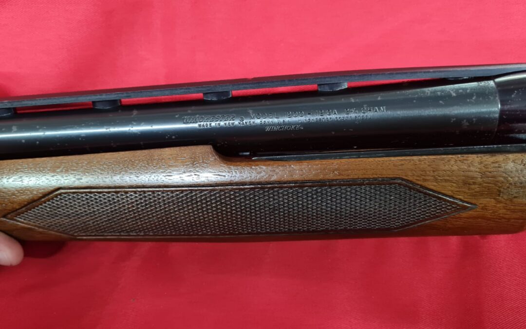 IMG-20230719-WA0061