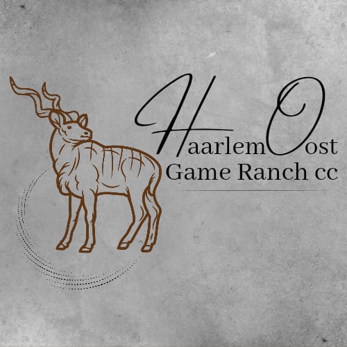 Haarlem Oost Game Ranch-huntandgun.co.za-hunt and gun