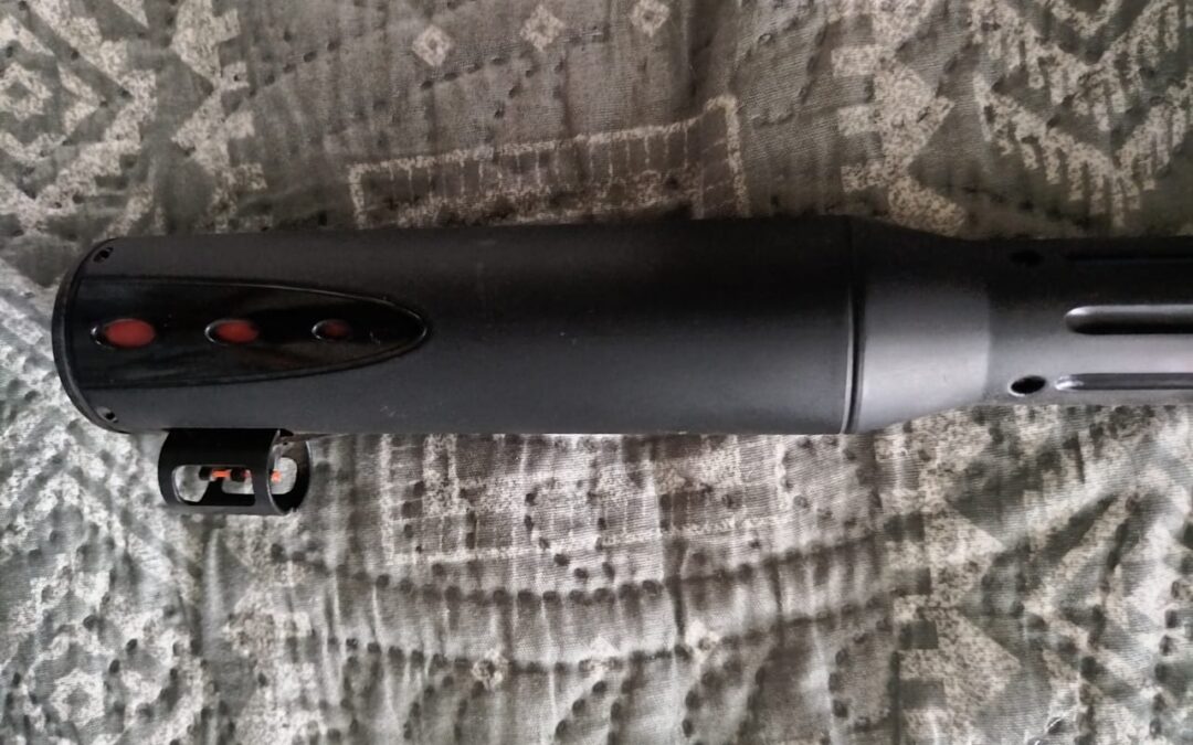 IMG-20240229-WA0018
