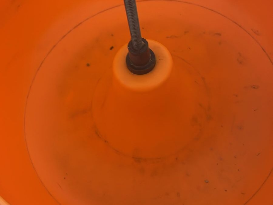 IMG-20240312-WA0069