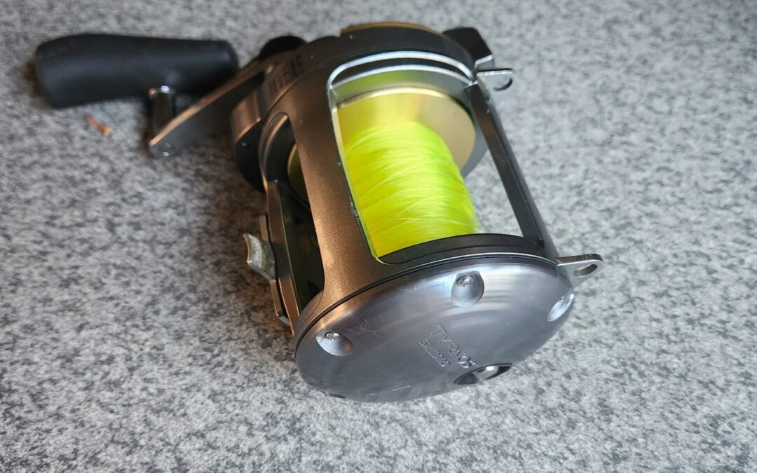IMG-20240911-WA0020