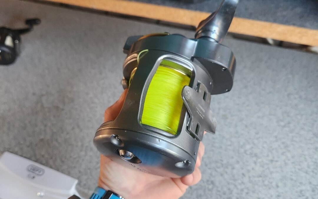 IMG-20240911-WA0022