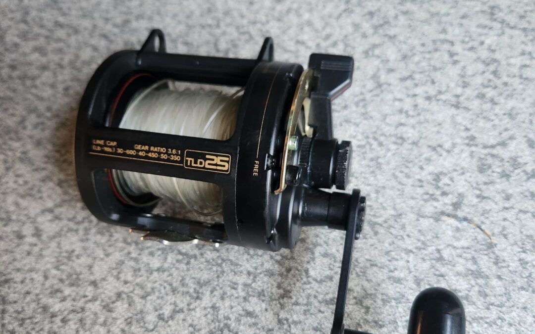 IMG-20240911-WA0029