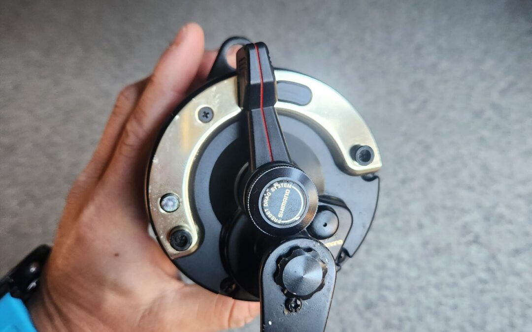 IMG-20240911-WA0030