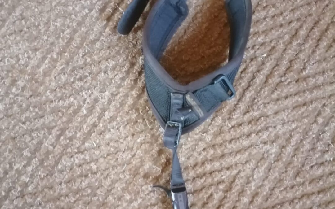 IMG-20240912-WA0013