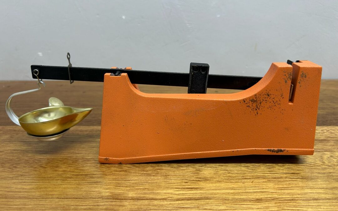 IMG-20250324-WA0022