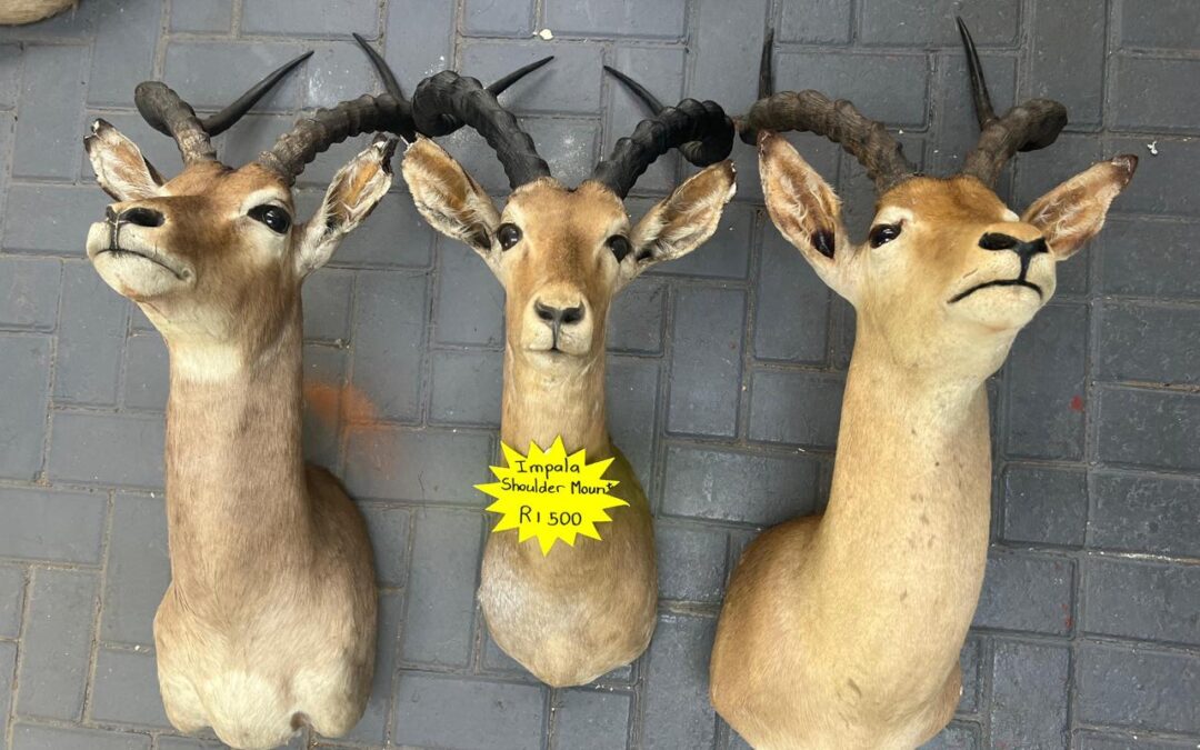 Lot 1080 17 Jun 25