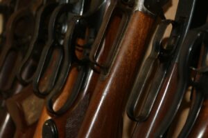 hunt and gun