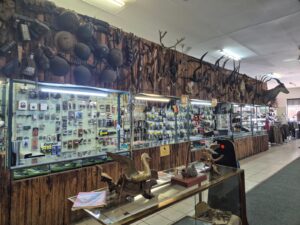 hunt and gun