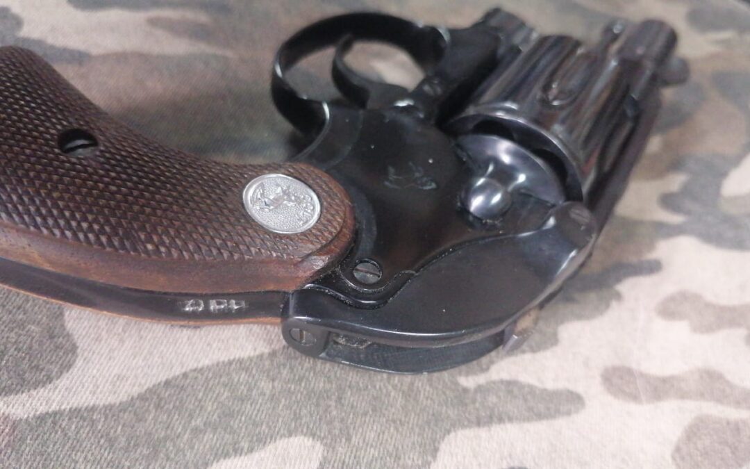IMG-20251104-WA0036