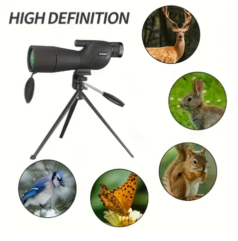 Frog Scope Lot 519 13 Jan 26 - Hunt and Gun