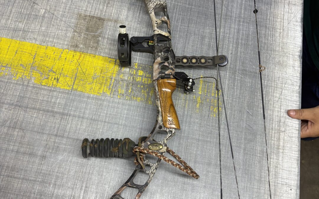 Lot 665 10 Feb 26