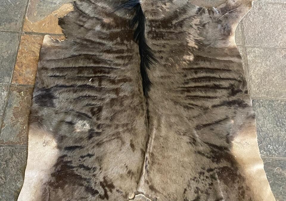 Lot 2550 30 Jun 26