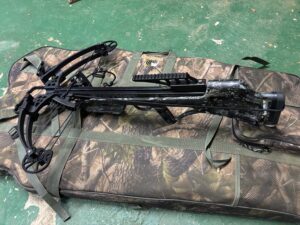 Lot 1 1 Oct 26