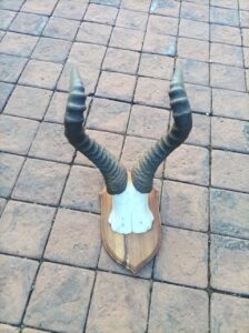 Lot 2823 29 Sep 26