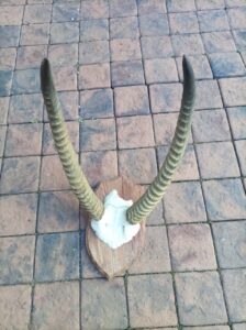 Lot 2820 29 Sep 26