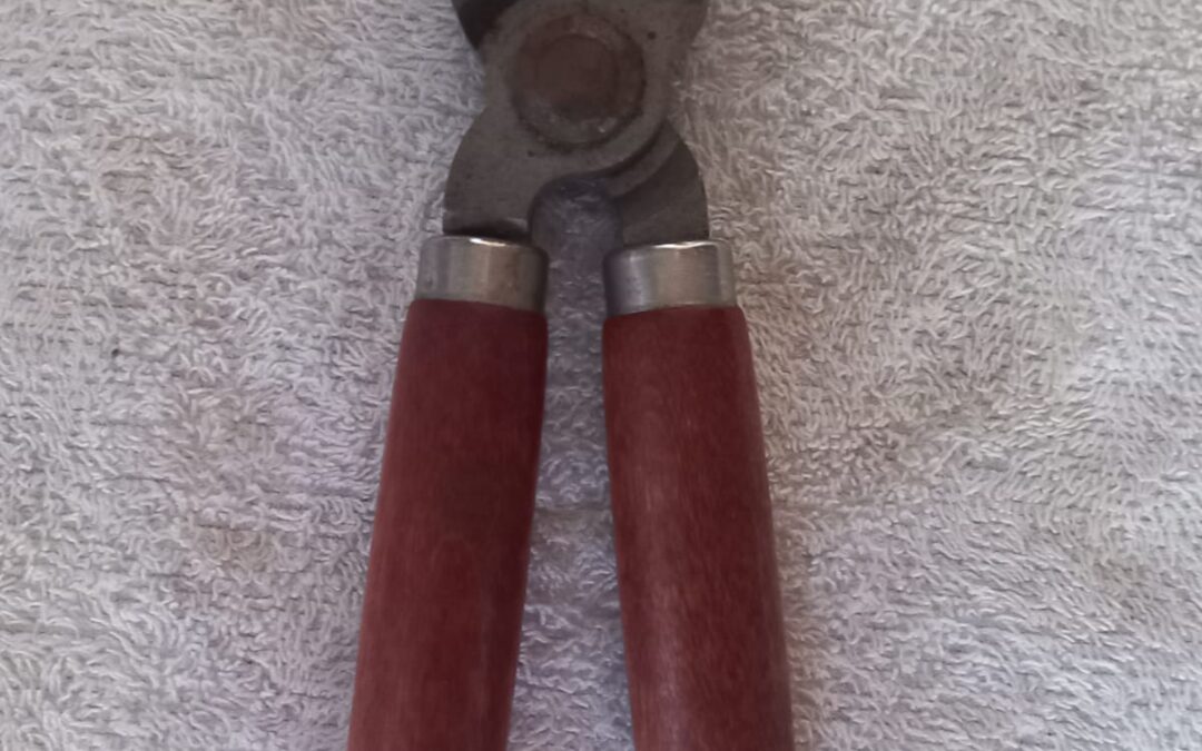 Lot 1963 22 Oct 26
